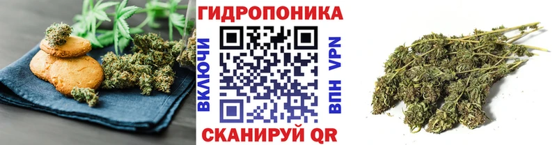 где купить   Североморск  Canna-Cookies марихуана 