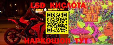 прущие грибы Можга
