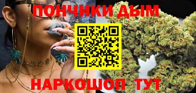 прущие грибы Можга