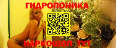 прущие грибы Можга