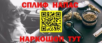 прущие грибы Можга