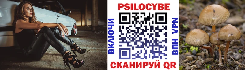 Псилоцибиновые грибы GOLDEN TEACHER  OMG как войти  Североморск 